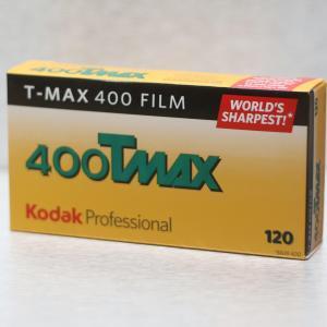 Kodak TMAX 400 120 (5)