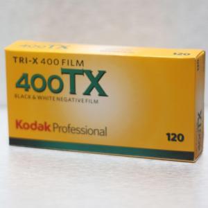 Kodak TriX 400 120 (5)